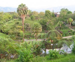  Life Park. Source: panoramio-freddyarenas